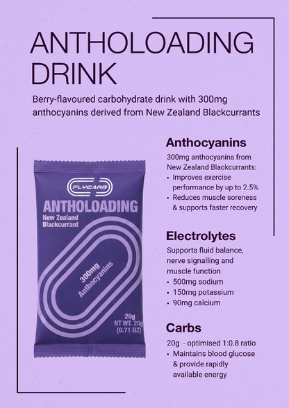 An informational product graphic for an antholoading drink. The image has a lavender-purple background with large black headline text reading 'ANTHOLOADING DRINK.
