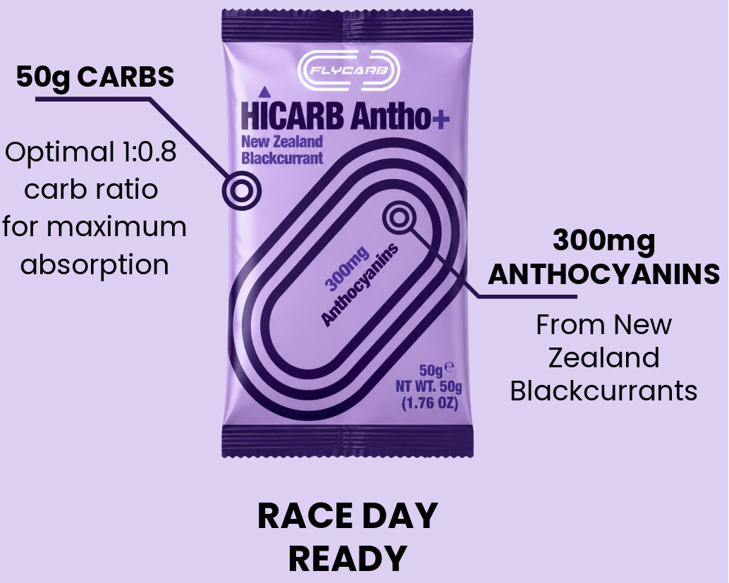 A single packet of FLYCARB HICARB Antho+ New Zealand Blackcurrant powder on a light lavender background with callout text highlighting 50g carbs, 300mg anthocyanins, and 'RACE DAY READY'.